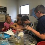 How many different hands can be involved?