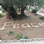 garden-of-gethsemane-garden-peace
