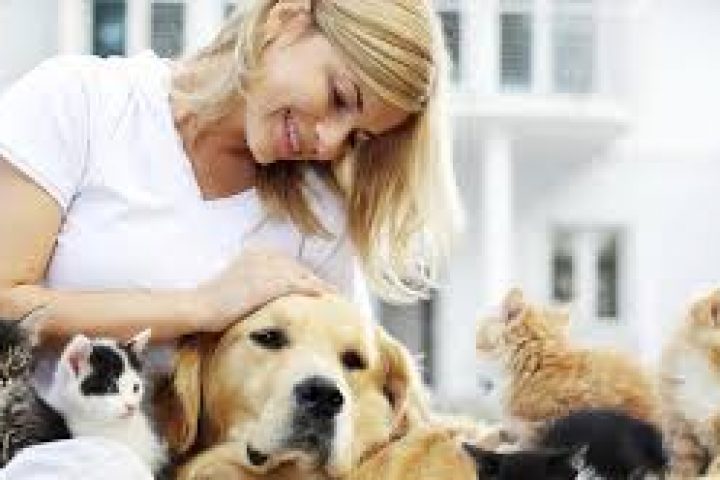 Pet Blessing with a Twist