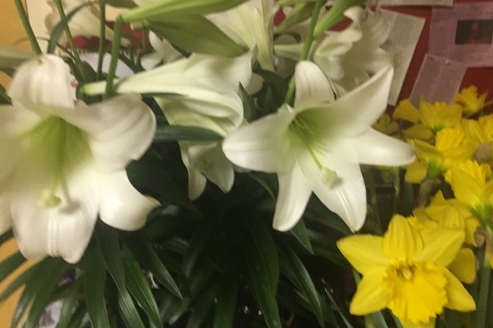 Easter Sunday Celebration