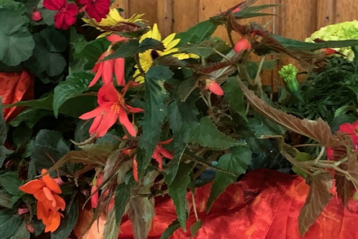 Worship Service for May 31st: Feast Day of Pentecost