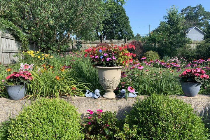 Worship Services for July 12th