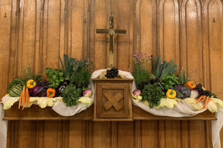 Live-stream worship service- bishop’s blessing of our gardens, 5/15/22
